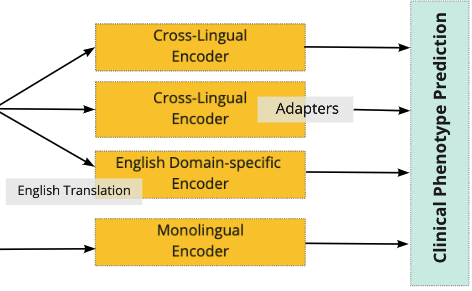 Cross-Lingual_Knowledge_Transfer_for_Clinical_Phenotyping